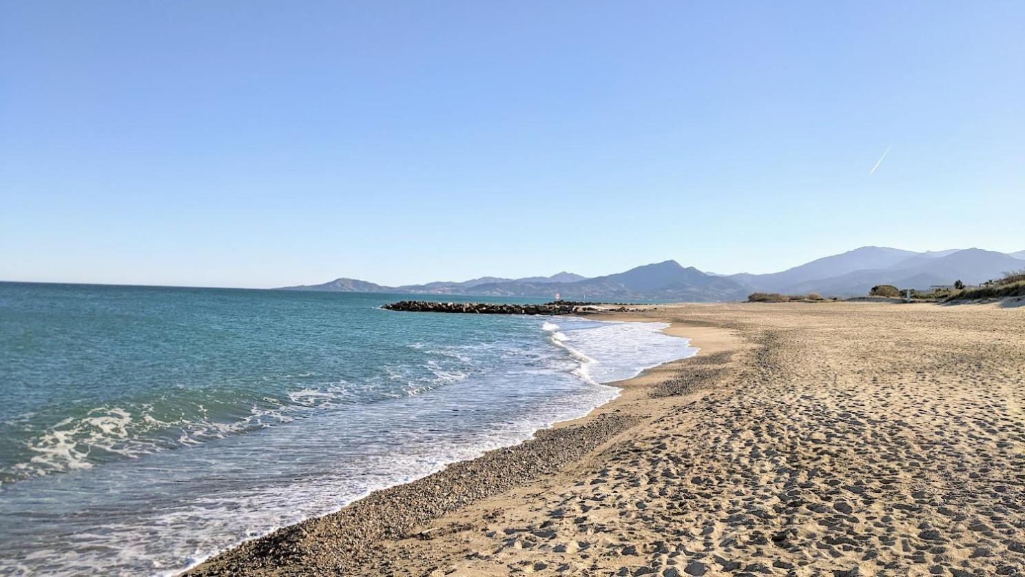 Standing T3Bis Presqu'Ile De La Lagune - Piscine - Mer & Nature Saint-Cyprien  Dış mekan fotoğraf